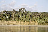 Canoe journey down the rivers of the Madre de Dios department in the Manu reserve